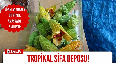 Tropikal şifa deposu
