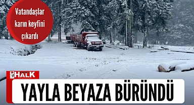 Yayla beyaza büründü