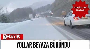 Yollar beyaza büründü