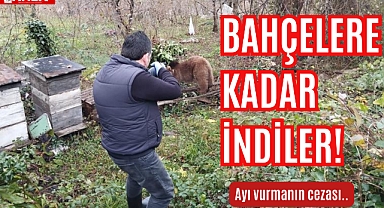 Bahçelere kadar indiler!