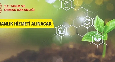Danışmanlık hizmeti alınacak