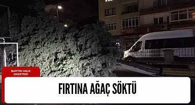 Fırtına ağaç devirdi!