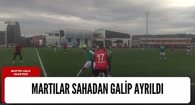Martılar uçuşa geçti