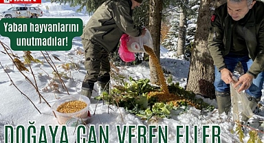Yaban hayvanlarını unutmadılar!