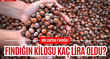 Bir zamda fındığa!