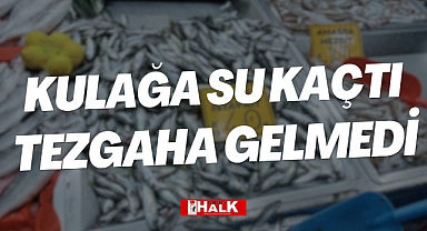 Kulağa su kaçtı, tezgaha gelmedi