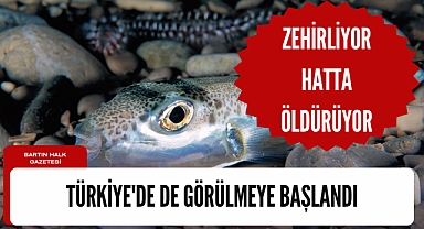 Türkiye'de de görülmeye başlandı