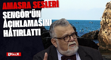 Amasra Sesleri Şengör‘ün Açıklamasını Hatırlattı