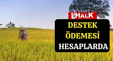Destek Ödemesi Hesaplarda