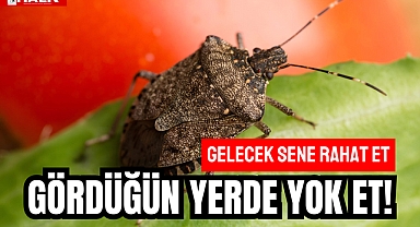 Gördüğün Yerde Yok Et!
