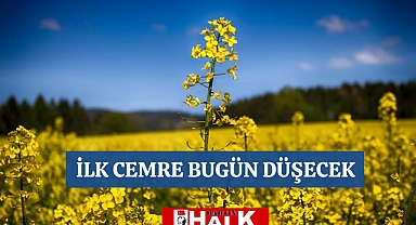 İlk Cemre Düşecek