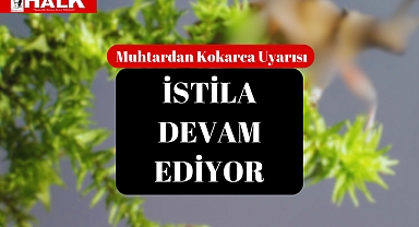 İstila Devam Ediyor