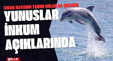 Sıcak Havanın Tadını Onlar da Çıkardı