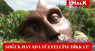 Soğuk Havada Yüz Felcine Dikkat!