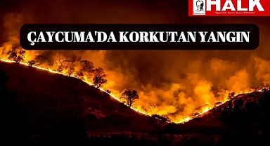 Son dakika! Çaycuma'da Yangın Paniği