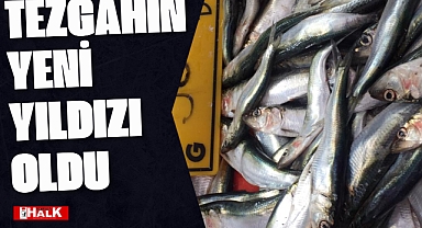 Tezgahın yeni yıldızı oldu