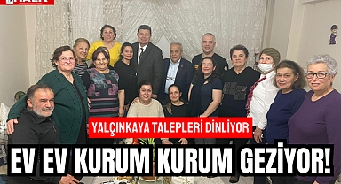 Yalçınkaya, Ev Ev Geziyor