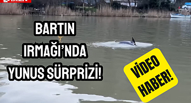 Bartın Irmağı'nda Yunus!