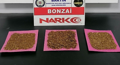 Bonzai İle Yakalandı!