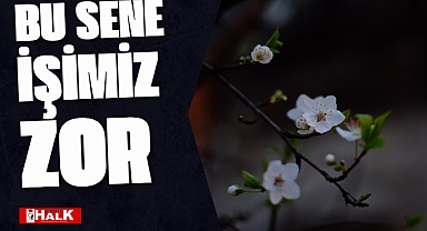 BU SENE İŞİMİZ ZOR