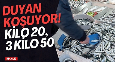 Duyan Koşuyor! Kilo 20, 3 Kilo 50