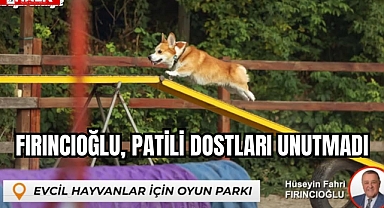 Fırıncıoğlu, Patili Dostları Unutmadı