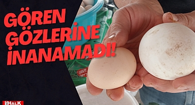 GÖREN GÖZLERİNE İNANMADI!