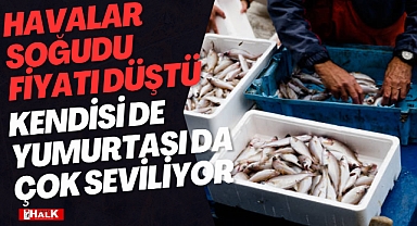 Havalar Soğudu Fiyatı Düştü