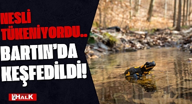 HERKESİ ŞAŞIRTTI!