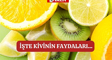 İşte kivinin faydaları...