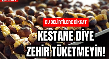Kestane Diye Zehir Tüketmeyin!