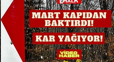 Mart Kapıdan Baktırdı! Kar Yağıyor!