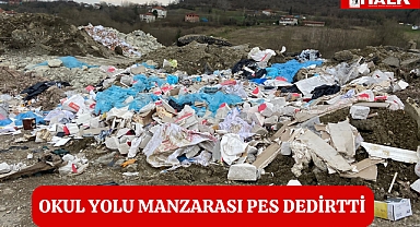 Okul Yolu Manzarası Pes Dedirtti