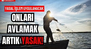 ONLARI AVLAMAK ARTIK YASAK!