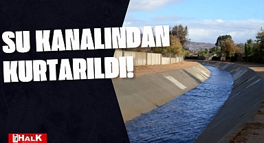 Su Kanalından Canlı Kurtarıldı!
