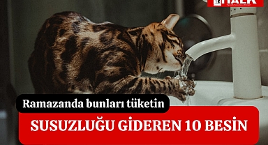 SUSUZLUĞU GİDEREN BESİNLER