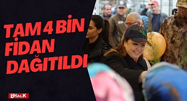 Tam 4 Bin Fidan