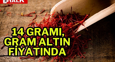 14 Gramı, Gram Altın Fiyatında