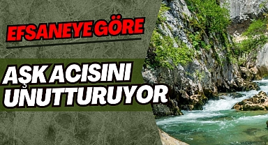 Aşk Acısını Unutturuyor