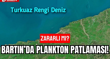 BARTIN’DA PLANKTON PATLAMASI!