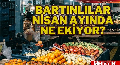 Bartınlılar Nisan Ayında Ne Ekiyor?