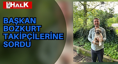 Başkan Takipçilerine Sordu