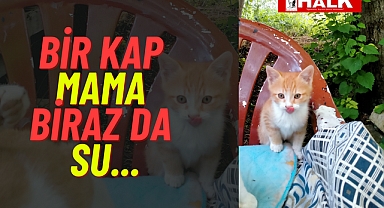 Bir kap mama biraz da su...