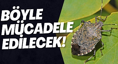 BÖYLE MÜCADELE EDİLECEK!