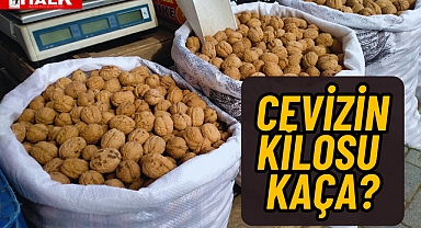 Cevizin Kilosu Kaça?