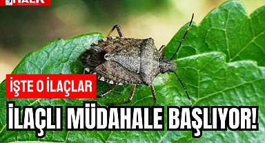 İLAÇLI MÜDAHALE BAŞLIYOR!