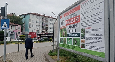 Kahverengi Kokarca ile Mücadelede Bilinçlendirme Ön Planda!