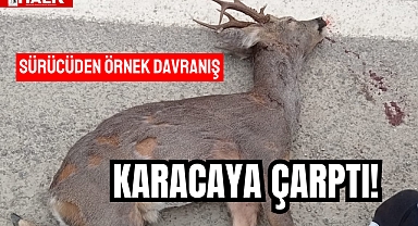 KARACAYA ÇARPTI!