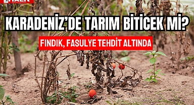 KARADENİZ'DE TARIM BİTECEK Mİ?