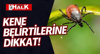 Kene Belirtilerine Dikkat!